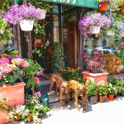 Outremont Real Estate Outremont Real Estate