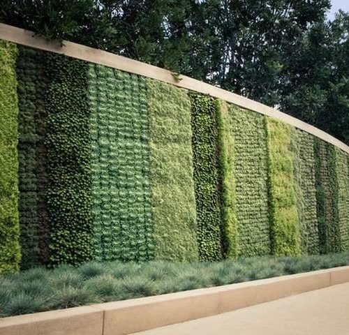 Contemporary-Green-Vertical-Garden-Landscape
