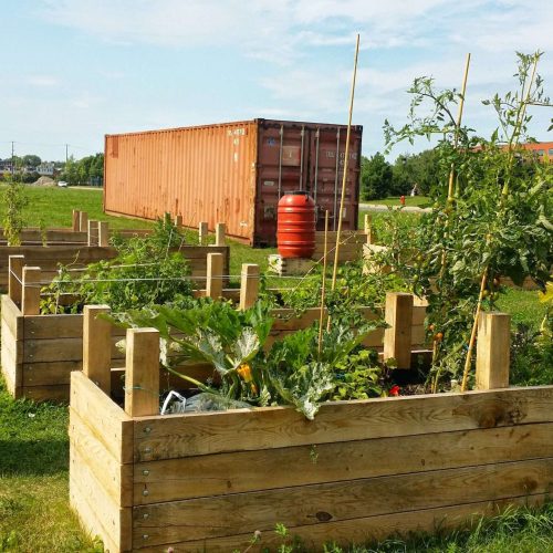 Sustainable Urban Farming Montreal