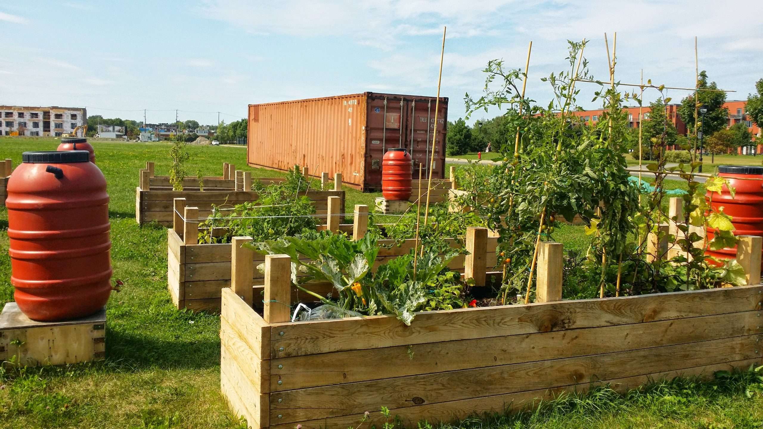 Sustainable Urban Farming Montreal