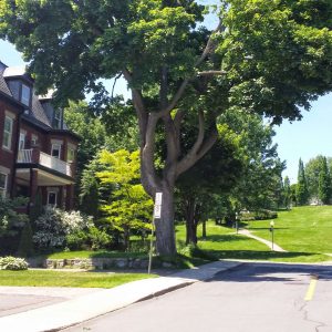 Westmount Parks Murray Hill