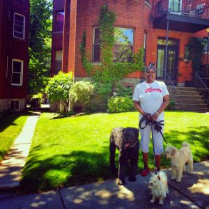 Westmount Neighborhood