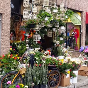 Florist with white birdcages everywhere
