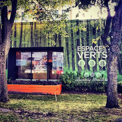 Discover Montreal Real Estate Bonnie Meisels
