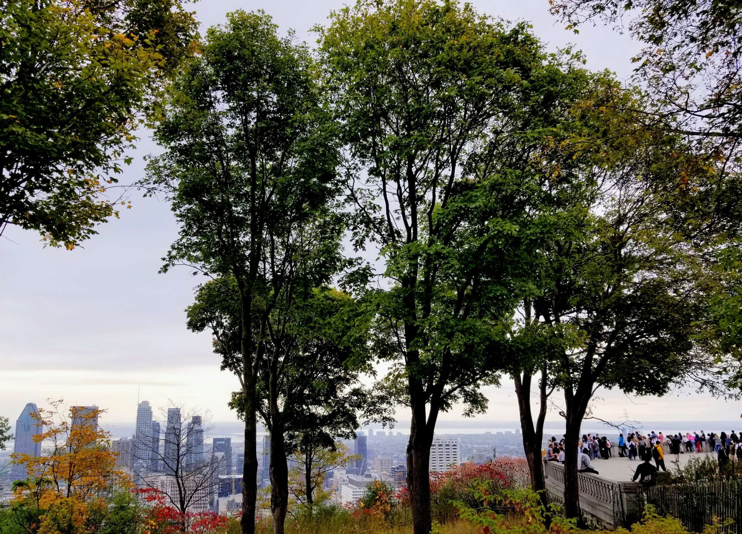 The latest in real estate evaluation. How's the Montreal market?